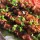 Vietnamese BBQ:  Lemongrass Marinade and the Chicken Skewers